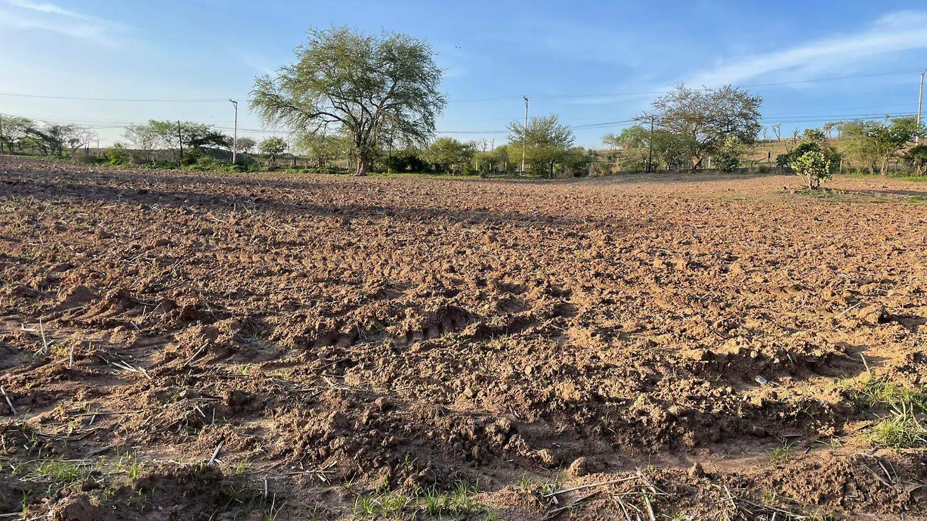 AGUS-F2J El descontrol de los patrones climáticos han generado que se pierdan más del 50 por ciento de las cosechas de temporal, aseguró el titular de la Ceagua Jaime Juárez López.  (4)